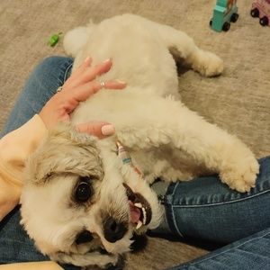 Meet your Posher, Kaycee